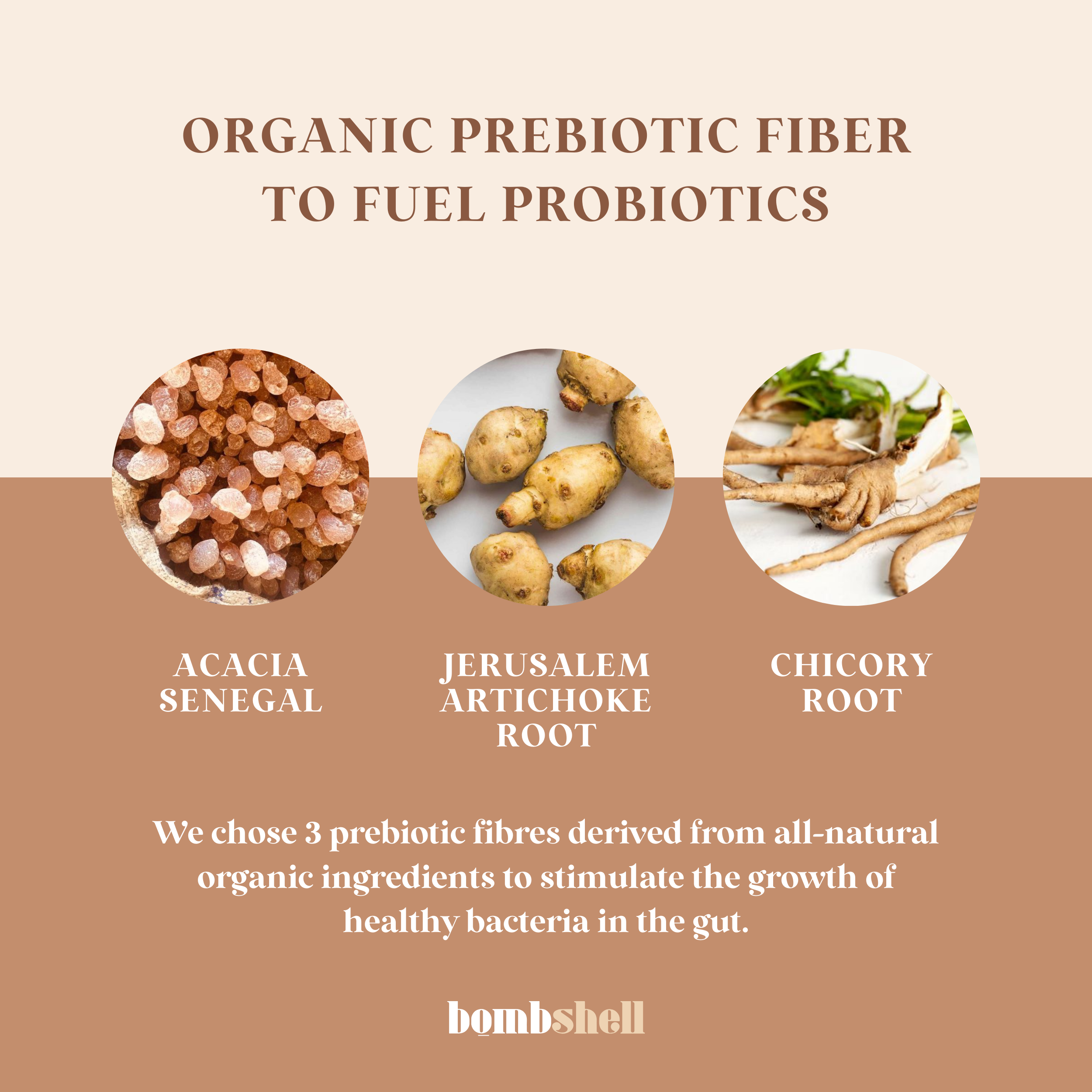 Bombshell Gut Feeling - 60 Billion CFU Daily Probiotic with Organic Prebiotics